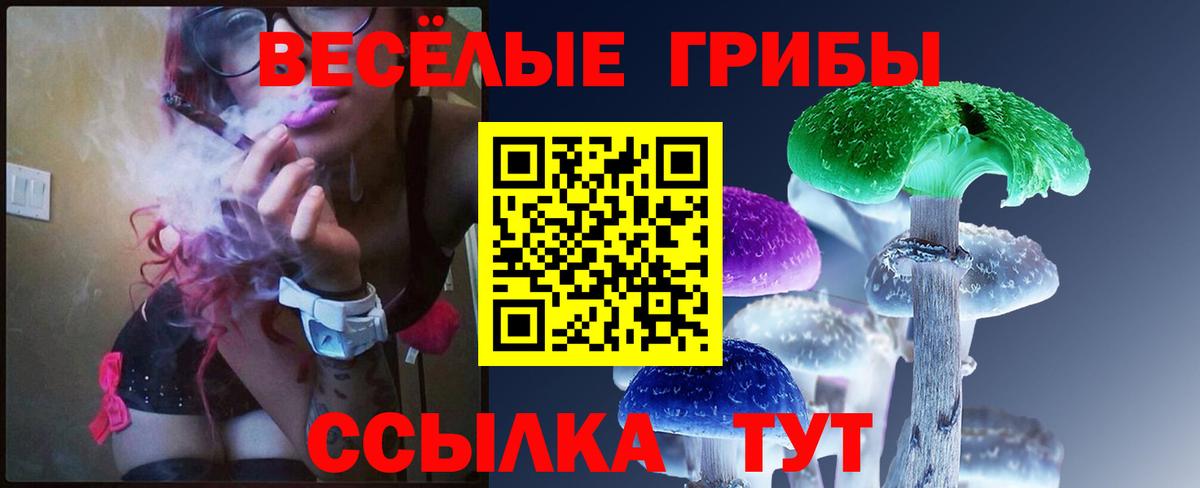 Мурино  Псилоцибиновые грибы Psilocybe  Псилоцибиновые грибы Psilocybe  Вход с VPN 