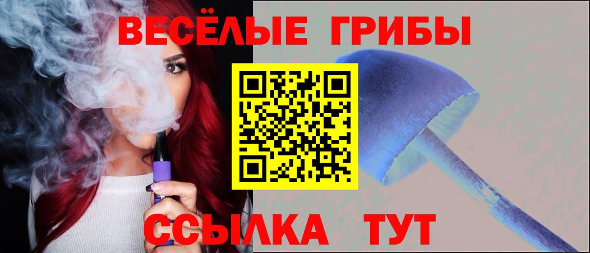 Псилоцибиновые грибы Psilocybe Мурино