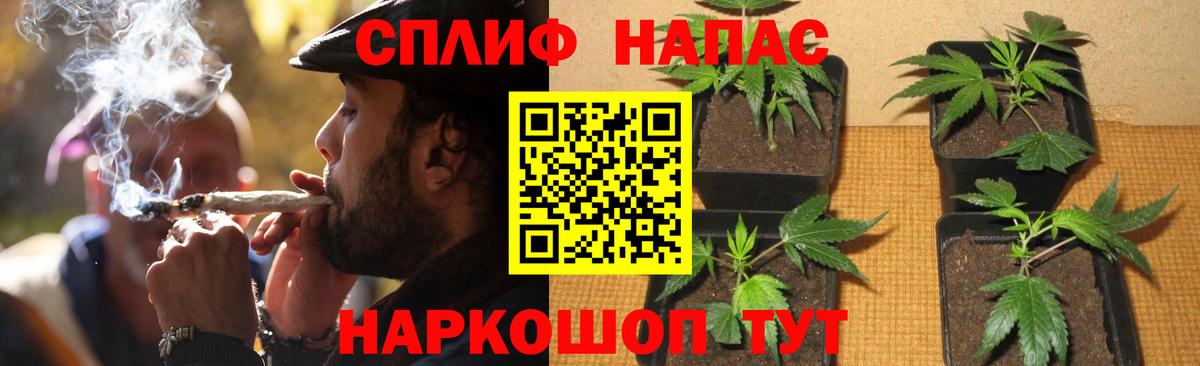 Мурино  Каннабис семена  Вход с VPN  Конопля White Widow  Канабис конопля 
